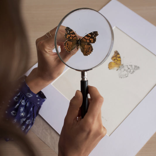 Acercarse a la Naturaleza desde la mirada del Ilustrador