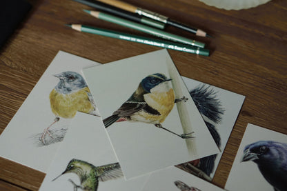 postcards with illustrations of birds from Chile by Antonia Reyes Montealegre @paraiso__perdido